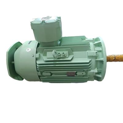 China Wolong YBBP Explosion Proof Explosion Proof Certified High Efficiency Three Phase Asynchronous AC Motor for sale