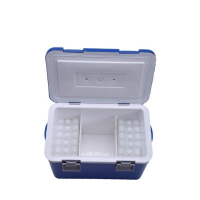 China Hot-selling PP HLM South America biosafety vaccine transport box for VTM and vaccine transfer 20L for sale