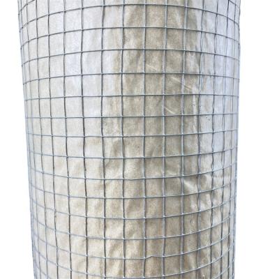 China Plain Weave 2x2 Galvanized Welded Wire Mesh And 10 Gauge Welded Wire Mesh And 6 Gauge PVC Coated 2x4 for sale