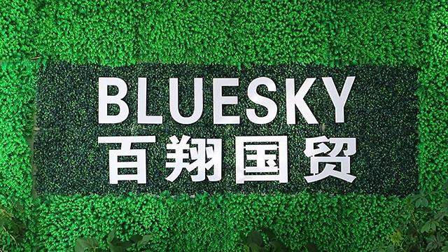 Verified China supplier - Ningbo High-Tech Bluesky Manufactory & Trading Co., Ltd.