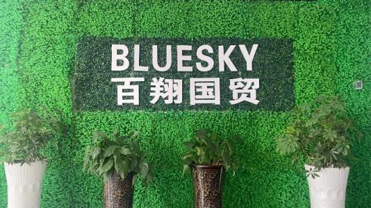 Verified China supplier - Ningbo High-Tech Bluesky Manufactory & Trading Co., Ltd.