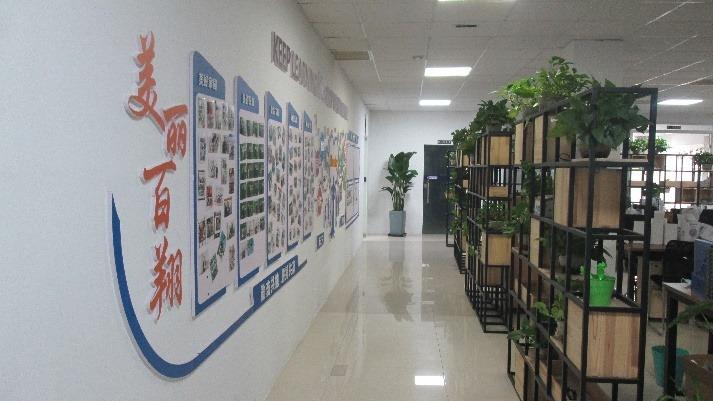 Verified China supplier - Ningbo High-Tech Bluesky Manufactory & Trading Co., Ltd.