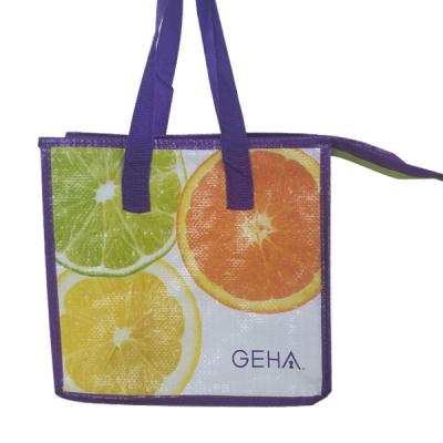 Cina L'OEM impermeabile 100pcs 23x26x16cm ha isolato Tote Lunch Bag in vendita