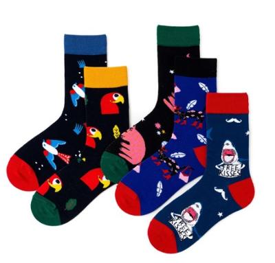 China Tidal Antibacterial Colorful Female High Rise Socks for sale