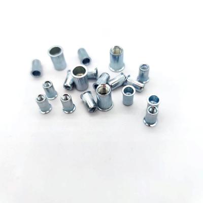 China Metric Heavy Industry Body M3 Stainless Steel Nut Knurled Galvanized Rivet Rivets for sale