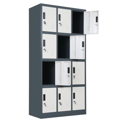 China High Quality Eco-friendly Hot Sale Bathroom Pool Hospital School Use 12 Door Storage Cabinet Steel Locker for sale