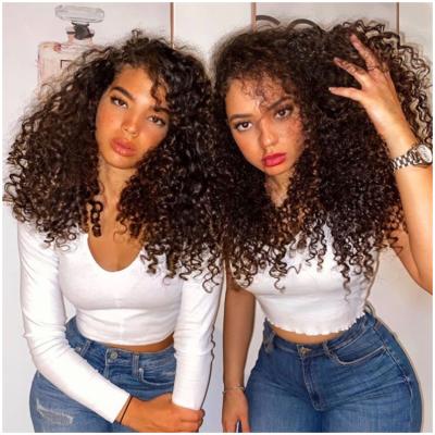 China Cheap Seller Mink Luxury Burmese Swiss Hair Lace Wig 9A Curly Unprocessed Mongolian Curly Hair Human Hair Lace Wig for sale