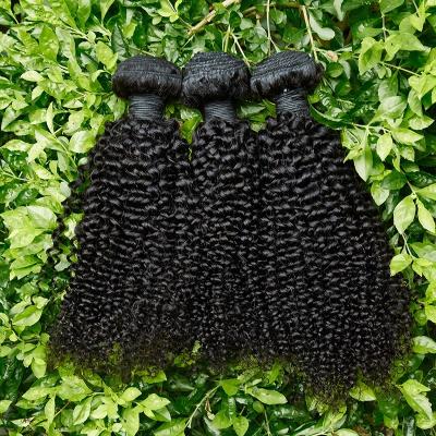 China 100 Bellishe Afro Kinky Curly Hair Weave From Curly Hair Manufacturer b for sale