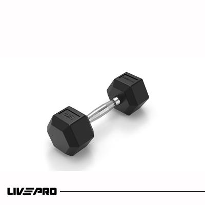 China Universal Gym Dumbbell Cast Iron Rubber Dumbbell 2.5kg for sale