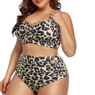 China Leopard Cross Back Logo High Waist Custom Made Plus Size 2 Piece Bikini Anti-UV Swimwear for sale