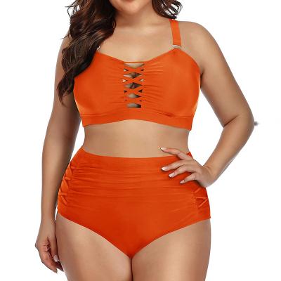 China Custom Printing Custom Back Logo High Waist Plus Size Cross Swimwear Anti-UV 2 Piece Bikini Set For Big Women for sale