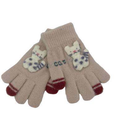 China Keeping Fashion Full Finger Hand Warmers Touch Screen Mitten Women Acrylic Winter Knit Glove for sale