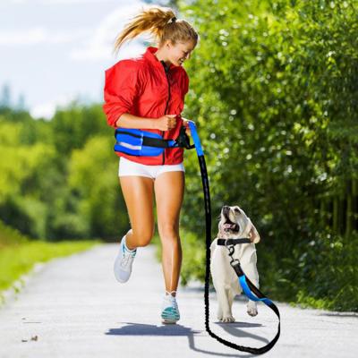 China Dogs Pet Running Adjustable Thoughtful Elastic Rope Leash Pet Traction Belt Guide Pet Traction Walking Dog for sale