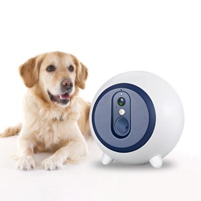 China Automatic Intelligent Smart Dogs Pet Camera Driver Wifi Pet Timer Ccpet Interactive Feeding Toys for sale