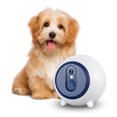 China ABS Auto Professional Ccpet Hardware Remote Control Auto Synchronized Electric Smart Pet Interactive Driver for sale