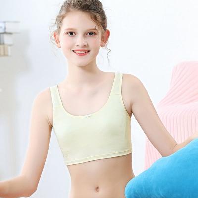 China Sheer one-piece cotton bra girl vests underwear elementary school students bra girls developmental teen sling for sale