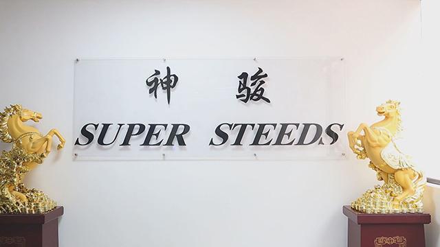 Verified China supplier - Dongguan Super Steeds Sports Co., Ltd.