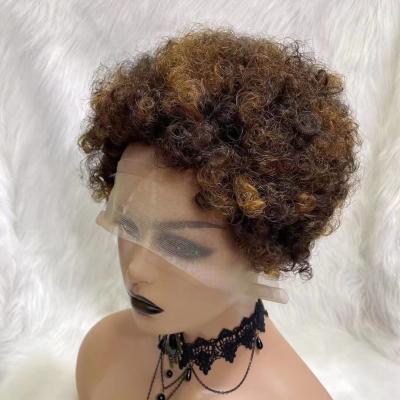 China Top Market Ladies Afro Kinky Wave Mens Adult Multi Colored Brown Afro Party Wig For Woman for sale