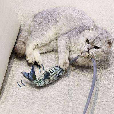 China 2021 New Viable Sport Cat Toy Interactive Air Bag Fish Soft Catnip Cat Toys for Cat Exercise for sale