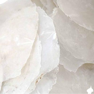 China Europe Clean White Capiz Shell For DIY /Handmade Shell Crafts for sale