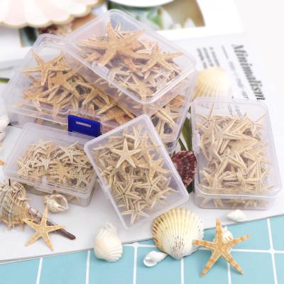 China China 50/100Pcs Mini Natural Craft Sea Stars Starfish Decor Home Accessories For Wedding Natural Decoration Beach DIY Jewelry for sale