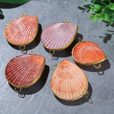 China Europe Gold Plated Shell Conch New Design Women Jewelry Box Nature Seashell for sale