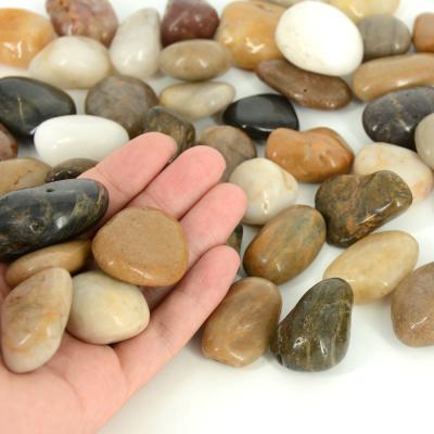 China China natural roach decoration, vase mix river filling stones for sale