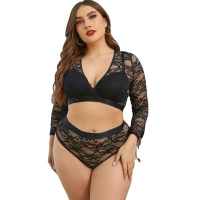 China Hot Lingere sexy sheer bra long sleeve bra and brief sets sexy lingerie plus size women's underwear for sale