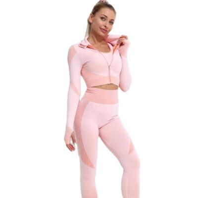 China New Soft Amazon Knitted Quick Dry Sports Long Sleeved 2 Piece Zippers Yoga Shorts Sets for sale