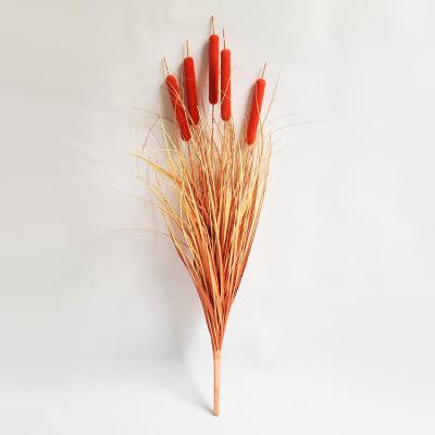 China Touch wholesale artificial flowers natural dog tail grass dried pampas grass green stem for decor wedding home decor pampas bundle for sale