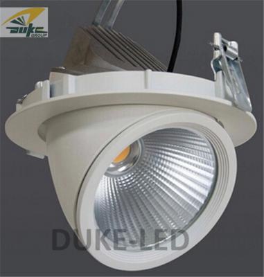 China Commercial Electric Gimbaled Hotels COB LED Downlight Directional Spotlights 25w AC100 - 240V for sale