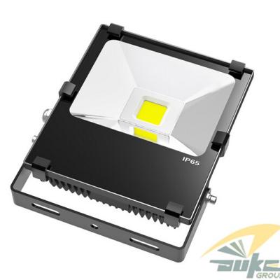 China 30W Epistar SMD2835 Outdoor LED Flood Light With 2450lm IP65 Replace 100W HID for sale