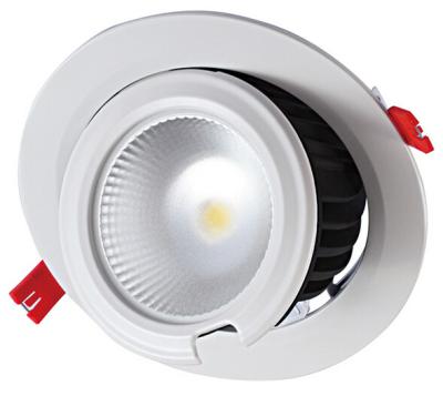 China Modern Design 0-10v Dimmable COB LED Downlight 50w Insert Directional Light for Cafe Bars for sale