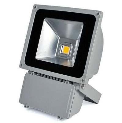 China Luz de inundación al aire libre del LED IP65 de vivienda de aluminio 30w/100w con el perno de acero inoxidable en venta