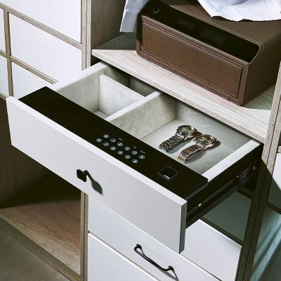 China Custom Home Hidden Drawer Cabinet Furniture Jewelry Position Cash Drawer Fingerprint Safe Money Safe Box for sale