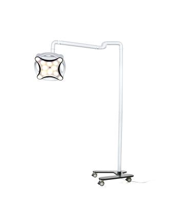 China salon beauty hospital new LED minor surgical /clinic light for dental surgery beauty medical VET for sale