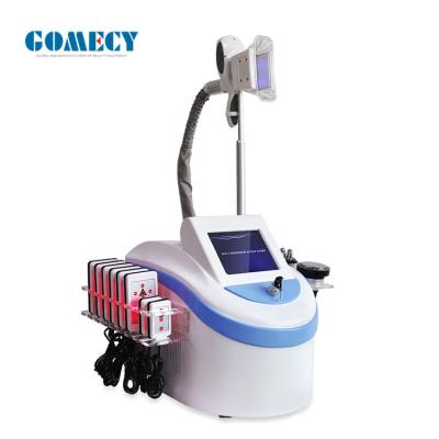 Chine Corps portatif de Cryolipolysis amincissant la machine avec 1 poignée à vendre