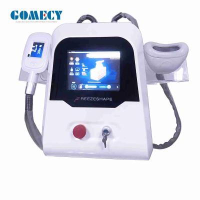 Chine grosse machine de congélation de 600W Cryolipolysis pour double Chin Therapy à vendre