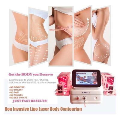 China Laser dual de Lipo de la onda que adelgaza la máquina 3d 5d 650 780 940 980 808nm en venta