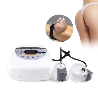 China 300W Multifunctional Beauty Machine Breast Butt Enlarge And Lifting for sale