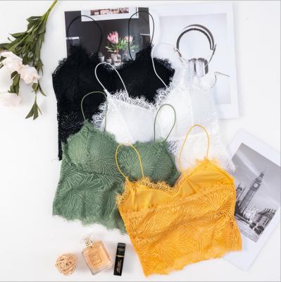 China Beautiful New Product Antibacterial Lace Summer Back Wrapped Chest Without Steel Ring With Chest Pad Basing Female Camisole Tube Top for sale