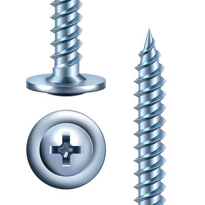 China Truss Truss Head Phillips Galvanized Self Tapping Screws for sale