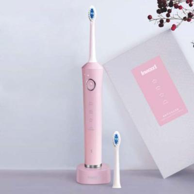 China Electric toothbrush replaceable intelligent timer powered by acoustic technology waterproof rechargeable toothbrush zu verkaufen