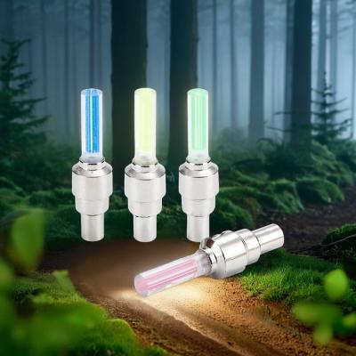 China Mountain Road Bike LED Flashing Lamp for Spokes Motor Wheel Tyre Tire Valve for sale