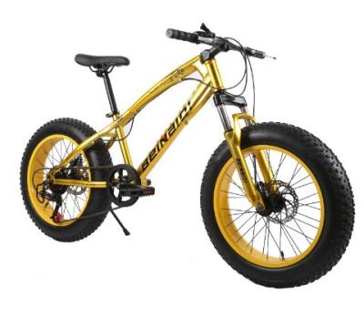 China Bicicleta de nieve de playa para niños de 20 pulgadas 4.0 de neumáticos gordos Bicicleta de montaña con velocidades 7/21/24/27 en venta