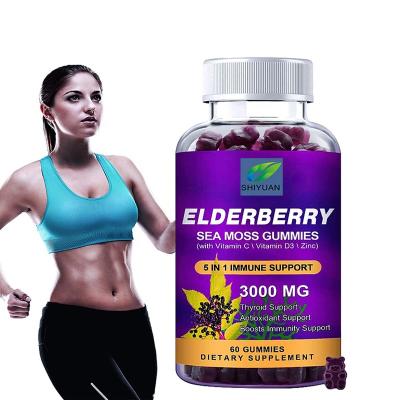 China Health Food OEM Black Elderberry Extract Herbal Pectin Health Nutrition Supplement Bear Bullet Raspberry Vegetarian Flavor for sale