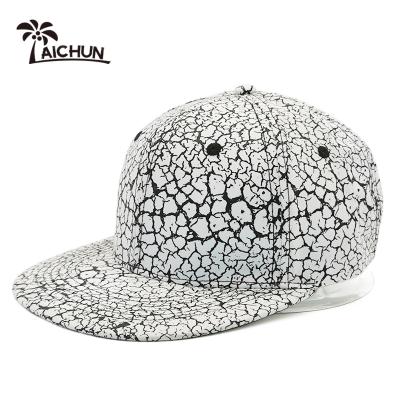 China COMMON Free Shipping With Custom Logo Printing 100% Color 6 Panel Polyester Sports Hat Snapback Hat Plain Golf Hat for sale