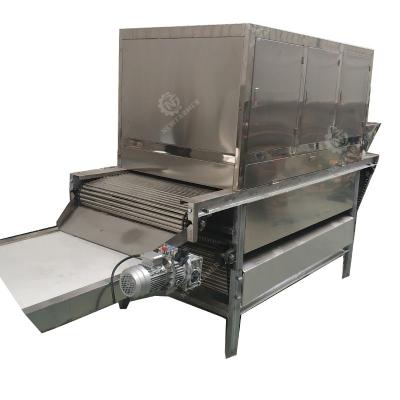 China Snack Factory Excellent Quality 1000kg/h NFGP-1000 Automatic Garlic Peeling Machine Chain Garlic Peeler for sale