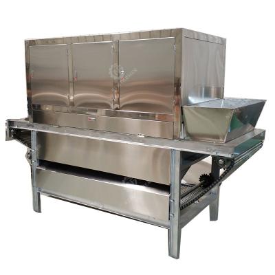 China Automatic Snack Factory Quality Assurance High Capacity Garlic Peeling Machine for sale