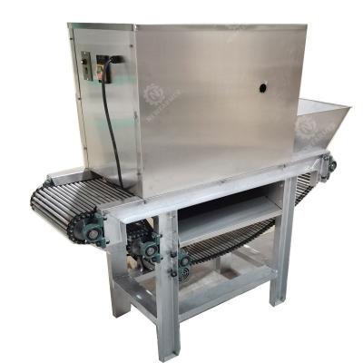 China Snack Factory Direct Automatic Chain Sales 1200W 400kg/h Garlic Peeling Machine for sale